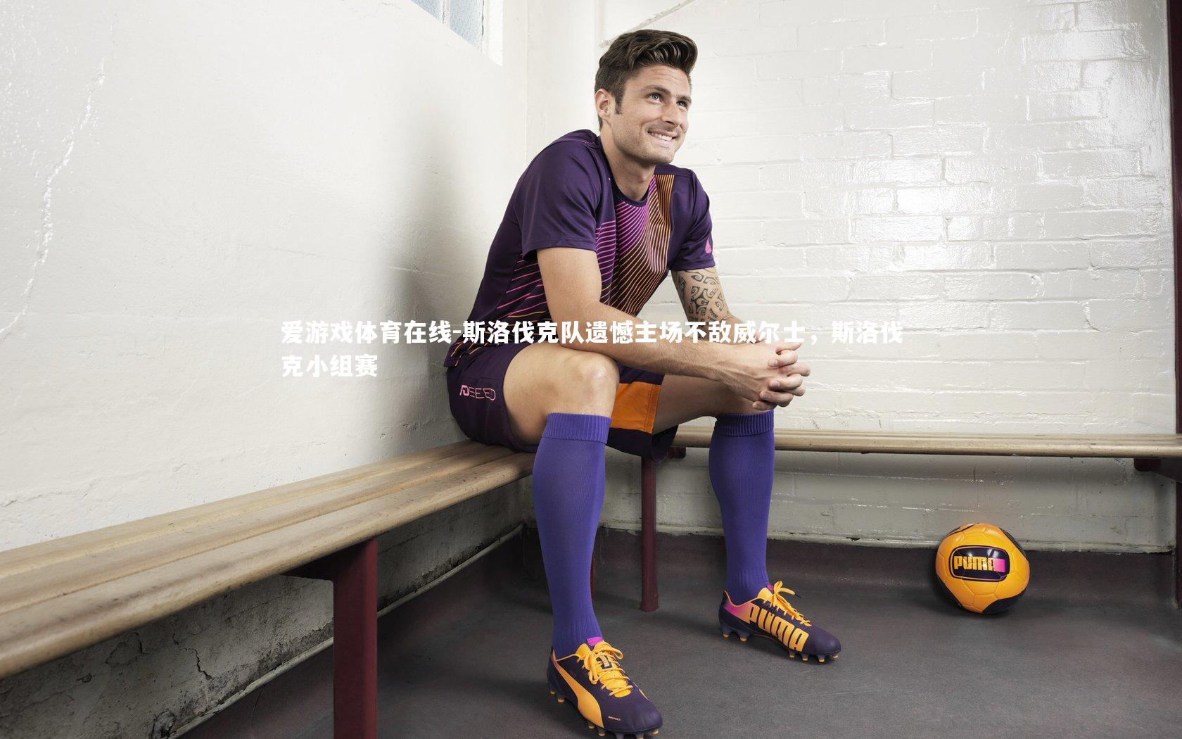 斯洛伐克队遗憾主场不敌威尔士,斯洛伐克小组赛